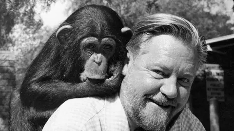 A chimpanzee on Gerald Durrell's shoulder, Mr Durrell has a beard and short hair and is smiling and the monkey is sucking its own thumb. The picture is black and white