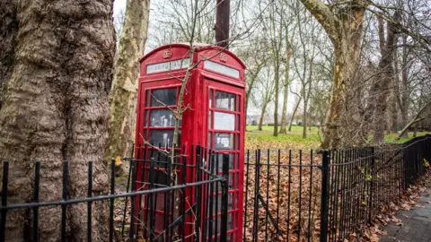 Getty Images/Sergio Amiti A red phone box is behind a black fence on the edge of a park. The kiosk has large trees either side of it and fallen leaves cover the ground nearby. Grass and other trees are in the background. 