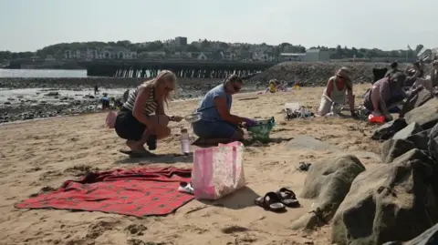 Groups of volunteers are on a beach. A woman is using a kitchen sieve to filter sand for small plastic pellets, known as nurdles. Next to her, a woman uses what looks like a large basket to filter nurdles from seaweed. Behind them, a pier juts into the sea and houses line the edge of the coast.