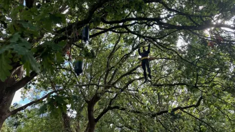 Bournemouth & Poole College A view upwards to the tree canopy shows the figure of a superhero and other objects hanging from branches