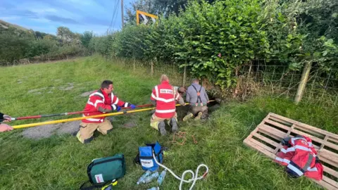 Mid and West Wales Fire and Rescue Service The fire fighters using two poles to rescue the lambs