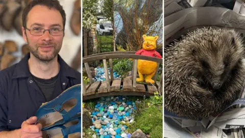 Three photos in a line: one of a man holding a pair of clogs, one of a garden with a river made of blue pebbles and a model of Winnie the Pooh, and one of a sleeping hedgehog on some newspaper.
