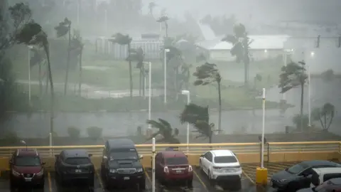 Trees are blown in strong wind and rain behind a full car park