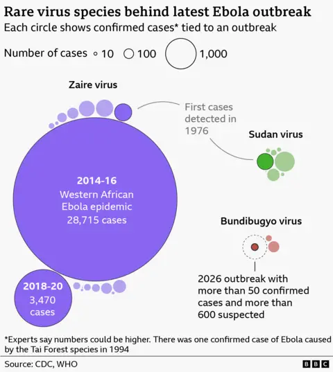 Gráfico de burbujas titulado «Especies de virus raras detrás del último brote de ébola», donde el tamaño del círculo representa los casos confirmados. Un círculo morado muy grande muestra la epidemia de África Occidental de 2014-2016 con 28 715 casos, superando con creces a las demás, junto con un brote menor de 2018-2020 con 3470 casos. Los grupos más pequeños representan los brotes del virus en Zaire, Sudán y Bundibugyo; Sudán muestra círculos con un número moderado de casos, mientras que Bundibugyo incluye un brote destacado de 2026 con más de 50 casos confirmados y más de 600 casos sospechosos. Una nota indica que el ébola se detectó por primera vez en 1976 y que las cifras de casos podrían estar subestimadas. Fuente: CDC, OMS.