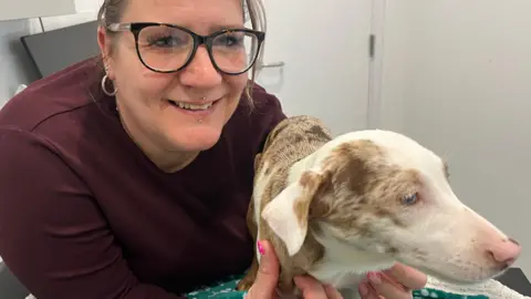 John Devine/BBC Shelley Munns with Heidi a small light brown and cream dog in a treatment room in a vet practice. It is looking to the right and Shelley is holding it up on a table. She has pulled back dark brown hair, is wearing black-framed glasses and a maroon top. 