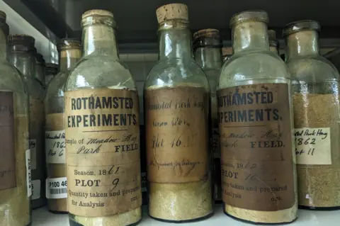 Rothamsted Research Glass bottles labelled Rothamsted Experiments containing archived Park Grass hay samples from the 1860s.
