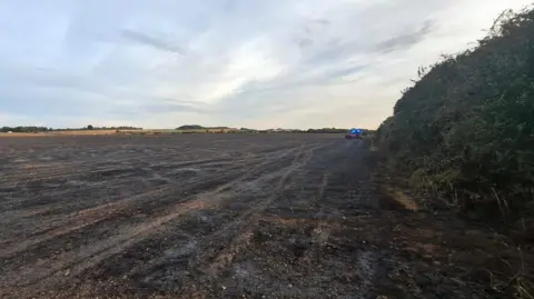 Scorched field after fire with fire engine seen along the hedgerow in the distance. 