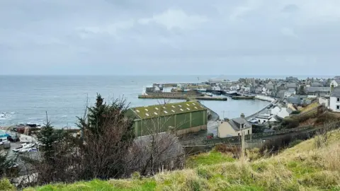 Houses and a harbour as seen from an elevated grassy position, under a cloudy sky.