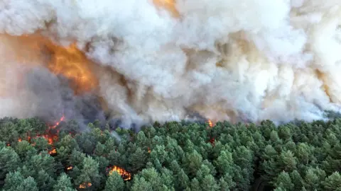 Smoke rises and orange flames can be seen in a wide view of green forest trees burning in Fontainebleau on Sunday.