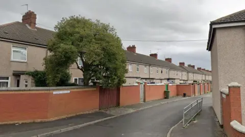 A tarmac road with rear entries to pebbledash properties and a red brick wall. A tree is growing on one of the back gardens.