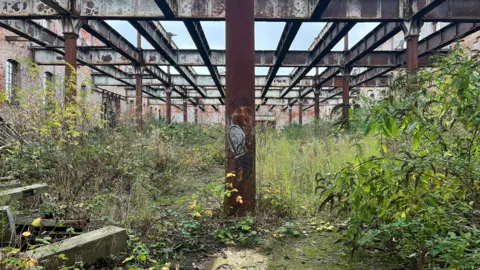 Interior of a derelict warehouse with bare metal beams and weeds growing