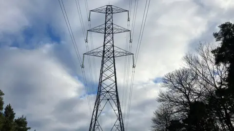 The Wildmoor Heath pylon on a cloudy day.