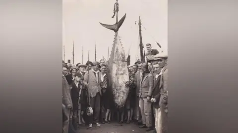 Scarborough Maritime Heritage Centre A black and white photo of men, women and children in Scarborough posing next to a giant tunny fish hanging upside down.