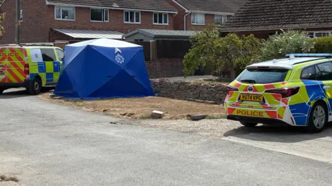 A blue forensics tent is on a grass verge by the side of a house with two police cars parked either side.