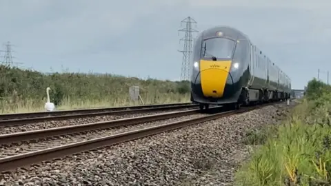 Secret World Wildlife Rescue A swan on a railway line with a train coming past on the opposite track