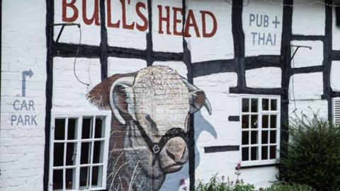 Mural of bull's head painted on the side of a pub bearing the same name