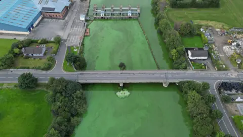 Colleen Webb Image of blue-green algae on lough from above