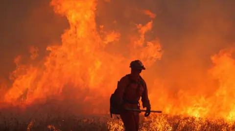 firefighting crew, works as the Hughes Fire burns in Castaic Lake, California, 