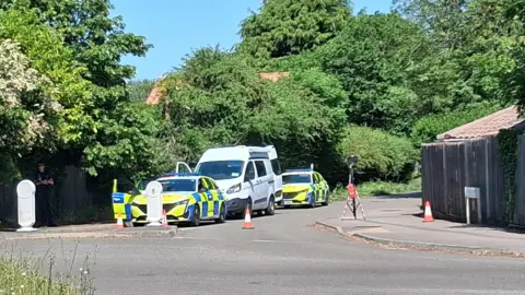 A line of police vehicles in the road near the crime scene.