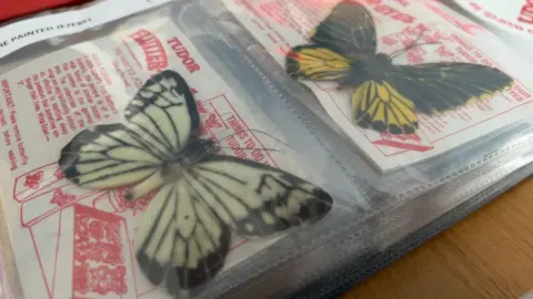 Two delicate, realistic butterfly brooches are stored wrong  a integrative  wallet. One is achromatic  and airy  green, the different   achromatic  and yellow. Beneath them are acquisition   sheets, with reddish  substance   connected  achromatic  paper, including a statement  of the butterfly and proposal  connected  "things to do" with them.