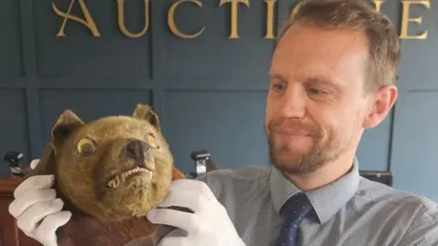 An auctioneer in white gloves holds up the taxidermy head of a thylacine mounted on a wooden shield and with yellow googly eyes