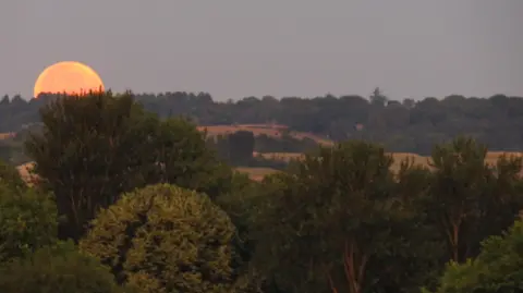 Lucie Johnson Half the moon is visible over the horizon. Trees and rolling countryside are in the foreground.
