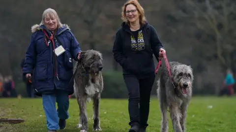  Jacob King/PA Media Owners and their Irish Wolfhounds arrive on day two 