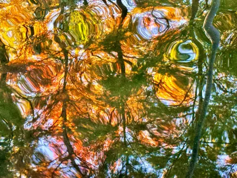 Catherine Quick Autumn colours reflected in water