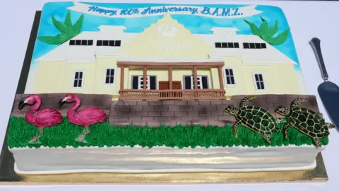 PA Media A cake with icing depicting the museum building. There are also two turtles and flamingos made out of icing