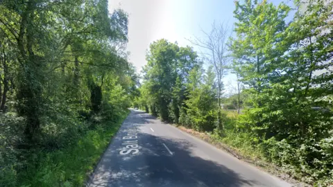 An empty country road lined with leafy trees on a sunny day