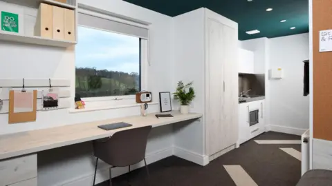 Colchester City Council One of the student rooms being used for temporary accommodation. It has white walls and a dark green ceiling. There is a desk, desk chair, wardrobe and small kitchen area. A window offers views of a large field and trees.