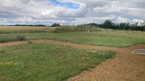 A grass meadow with gravel paths 