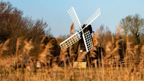 National Trust/Mike Selby A black wooden-clad windmill with white sails at Wicken Fen. In front of it are blurred out wintery reeds and behind it are leafless trees.