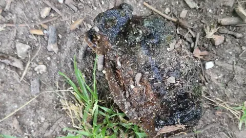 A close up image of the rusted grenade lying on the soil. The vague texture and shape of it is discernible but it has turned brown and black in the water. 