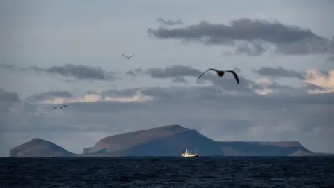 Getty Images Fishing boat in the sea with an island behind it, gulls flying in the foreground.