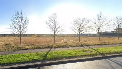Google The land off Cygnet Drive. There is grass and a narrow path, with shrubs, trees and buildings in the distance.