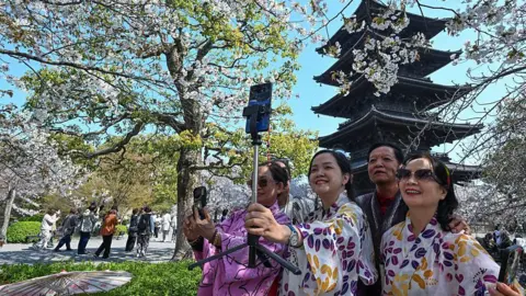 A group of tourists dressed in traditional floral kimonos use a smartphone tripod to take photographs against the backdrop of blooming cherry blossoms and a pagoda in Kyoto