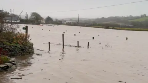 Submitted A high tide in Aveton Gifford. The water not clear and there are pieces of wood poking through the top. There is a wall with grass and trees on the left and in the distance green hills with trees.