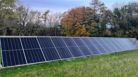 Factual Fiction A line of solar panels on some grass, with trees in the background.