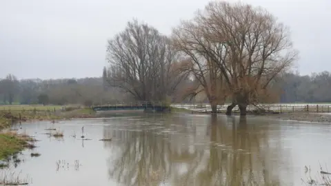 Andy Jackson Backwaters