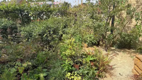 Central Bedfordshire Council The planting style is informal and layered. The garden features a mix of shrubs, ferns, grasses, and small trees.
