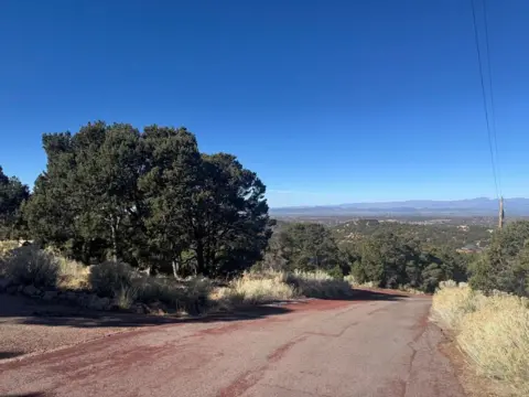 A private road on a hill overlooking greenery 