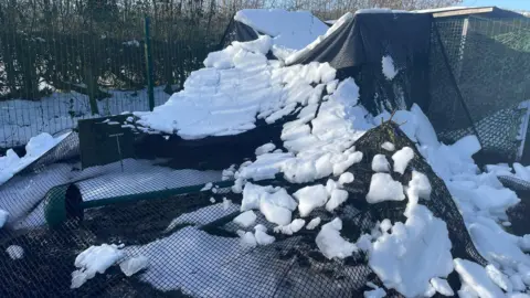 Snow is covering black netting that sits over outdoor pools for the animals.