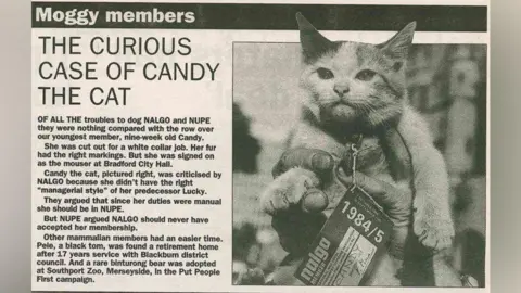 Modern Records Centre, University of Warwick A small kitten with a NALGO membership card attached to her collar is being held up for the camera next to an article entitled "The Curious Case of Candy the Cat"
