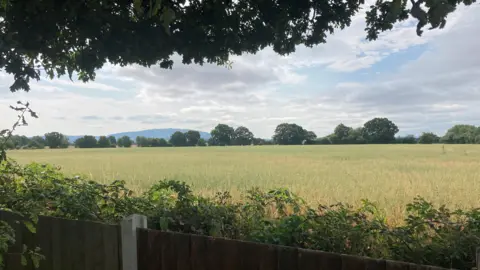 An open green field surrounded by green trees. The sky is grey/blue and cloudy