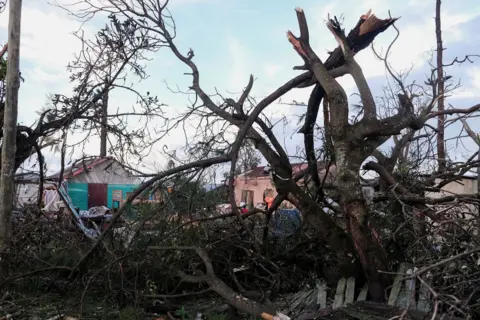 Reuters Uprooted trees on a roadside.