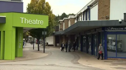 A green frontage for the theatre can be seen on the left of a street with shops under a canopy on the right. A pedestrianised road is in between.