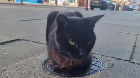 Kev Smith Salem lying over a covering on a pavement, with shops behind him.