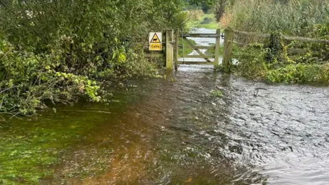 Nene Park Trust A close up of a flooded area beside a wooden gate that is separating two fields, which are both flooded. 