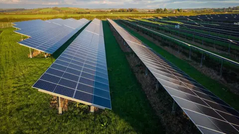 A stock photo of a solar farm. Rows of solar panels can be seen in the photo. They are erected in a field.